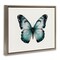 Stupell Industries Teal Symmetrical Butterfly Framed Floater Canvas Wall Art Design by Elizabeth Medley